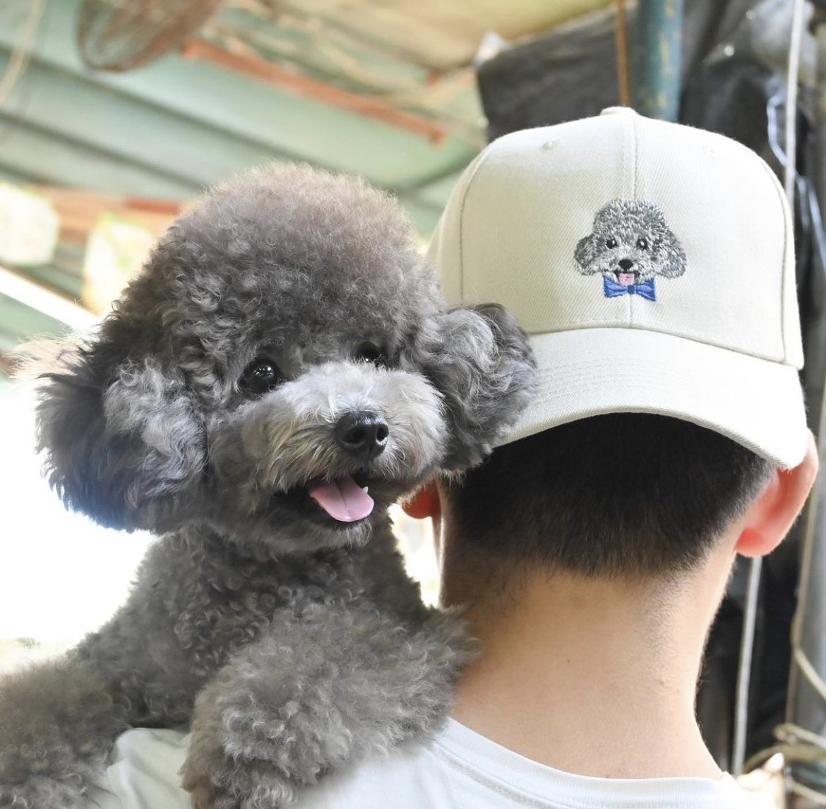 [Customization] Customized animal embroidery CAP cap peaked cap